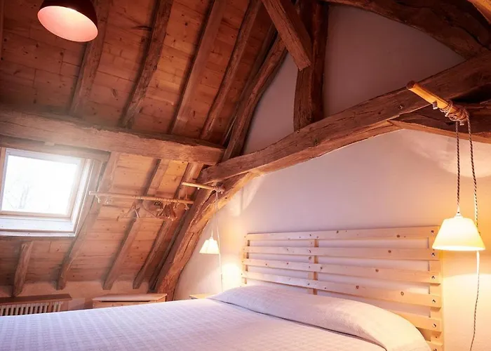 Sejour Nature Au Domaine Avec Animaux Admis, Piscine Et Jardin - Fr-1-489-610 Neuilly-le-Réal