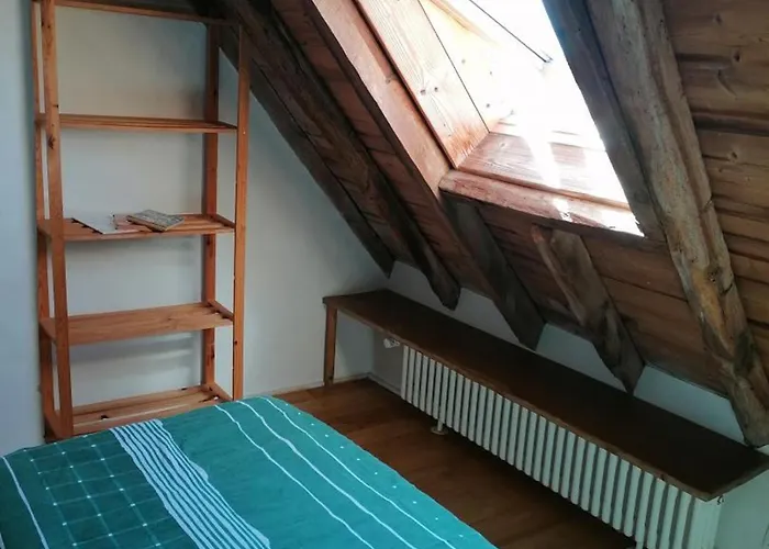 Sejour Nature Au Domaine Avec Animaux Admis, Piscine Et Jardin - Fr-1-489-610 Holiday home *